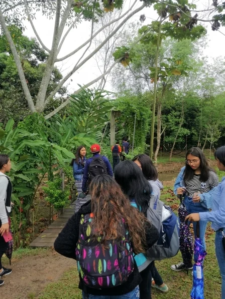 Estudiantes plantando árboles